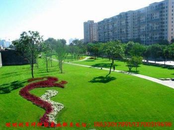 内蒙古二连浩特市草原绿宝农贸有限责任公司